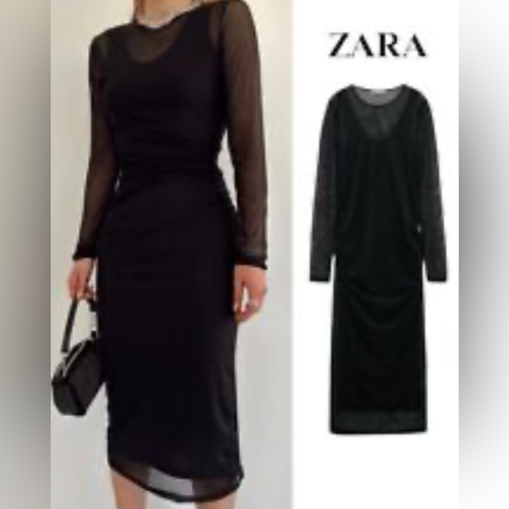 Zara Long sleeve Sheer Maxi Dress